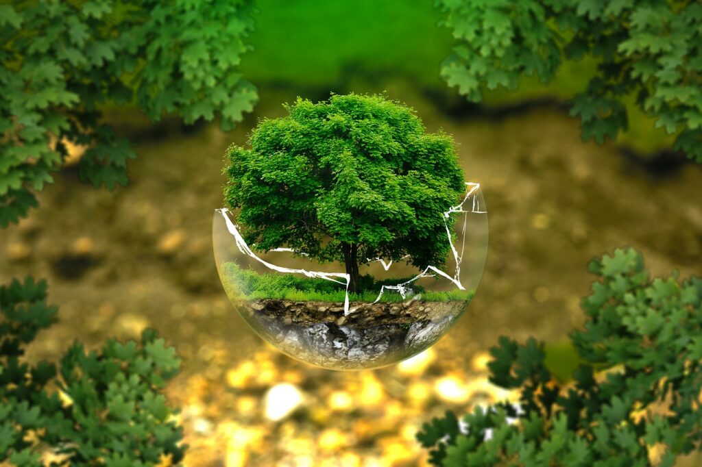 Environmental Protection  - ejaugsburg / Pixabay